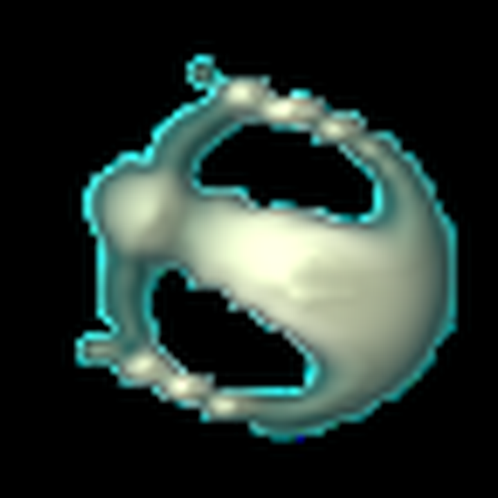 Compiled Orbium at step 600.