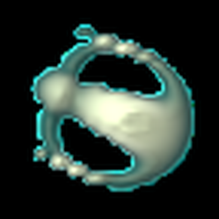 Native Orbium at step 100.