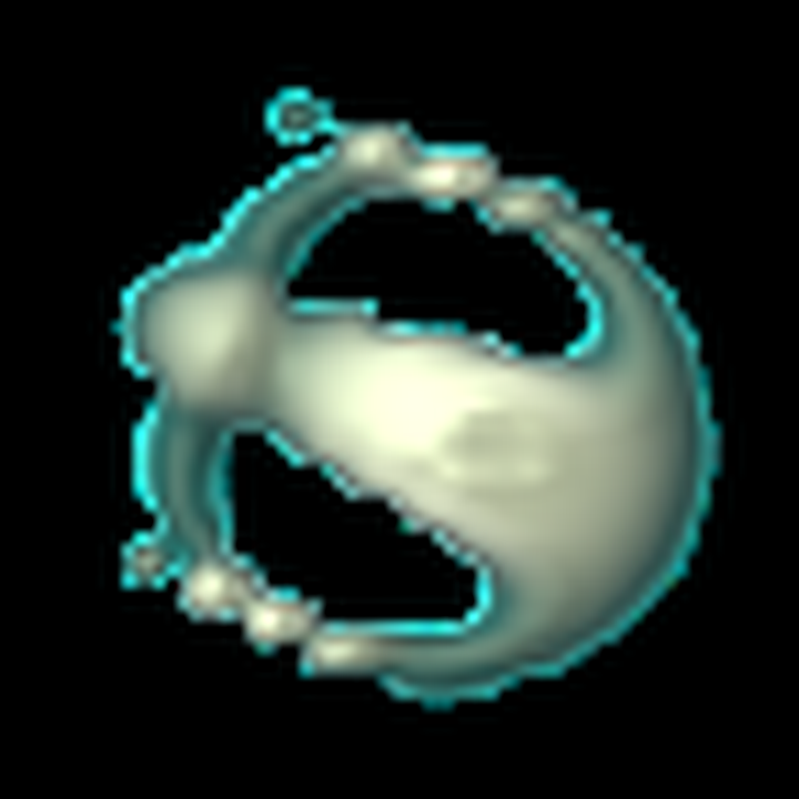 Native Orbium at step 300.