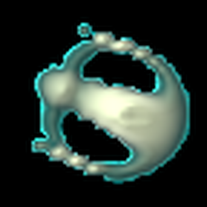Native Orbium target at step 600.