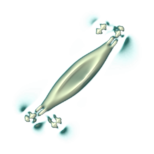 The same source organism near the end of the measured trajectory.