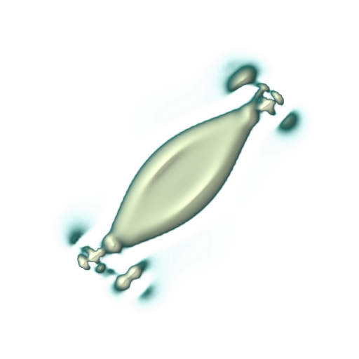 Leaf-like source organism midway through its development.