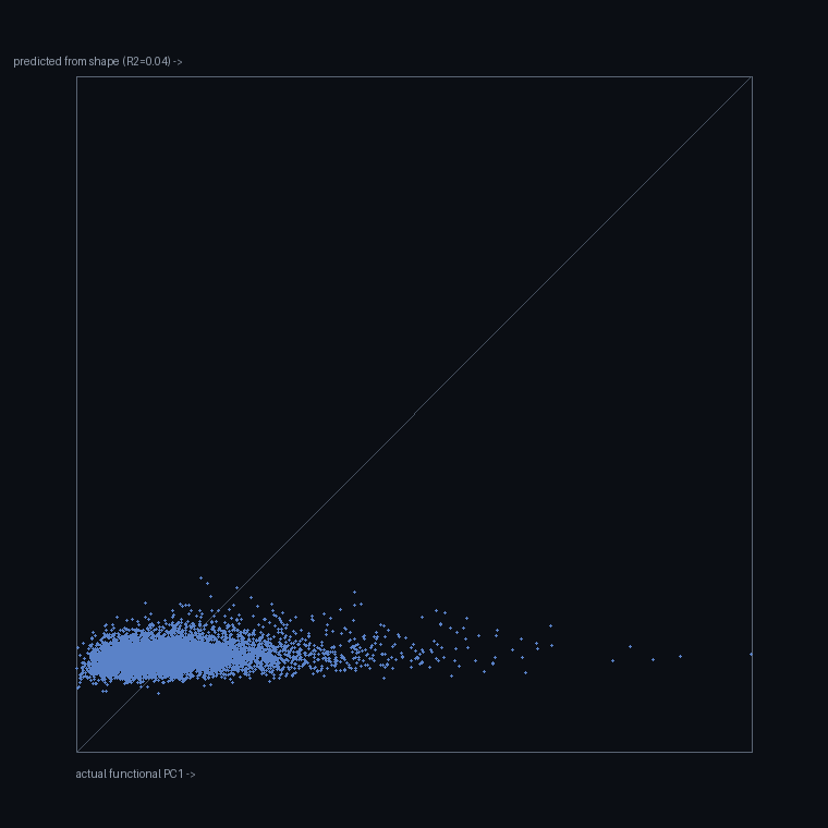 Observed versus predicted functional scores from the shape-to-function regression.